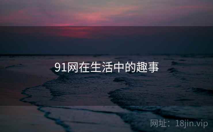 91网在生活中的趣事