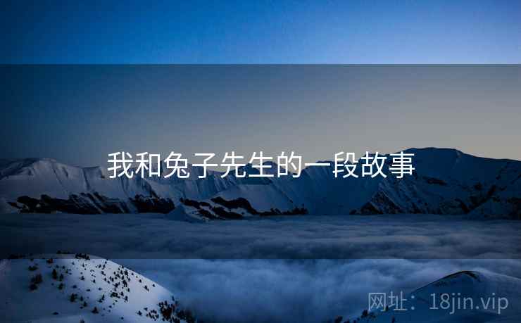 我和兔子先生的一段故事