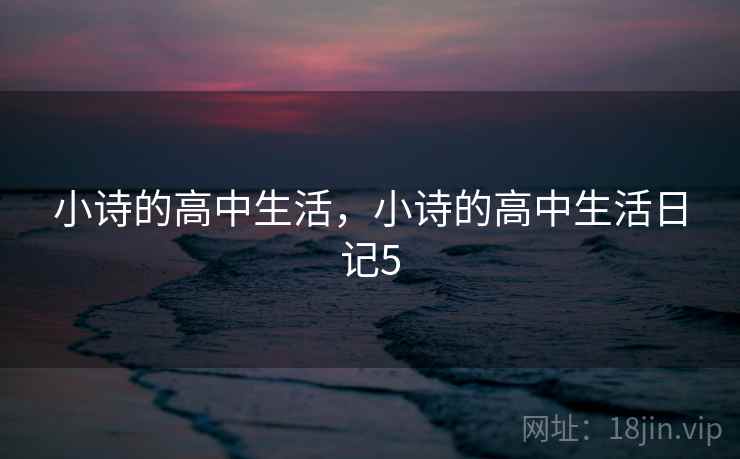 小诗的高中生活,小诗的高中生活日记5